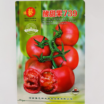 豫艺酸甜果番茄种子口感早熟品种种子