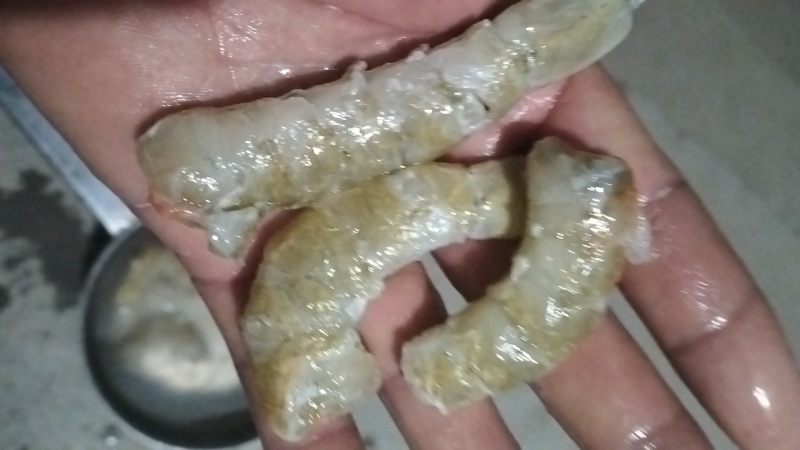 剥虾仁大虾