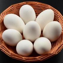 新鲜鸭蛋大量供应一手货源质量保证，裂痕破损包赔，货到付款