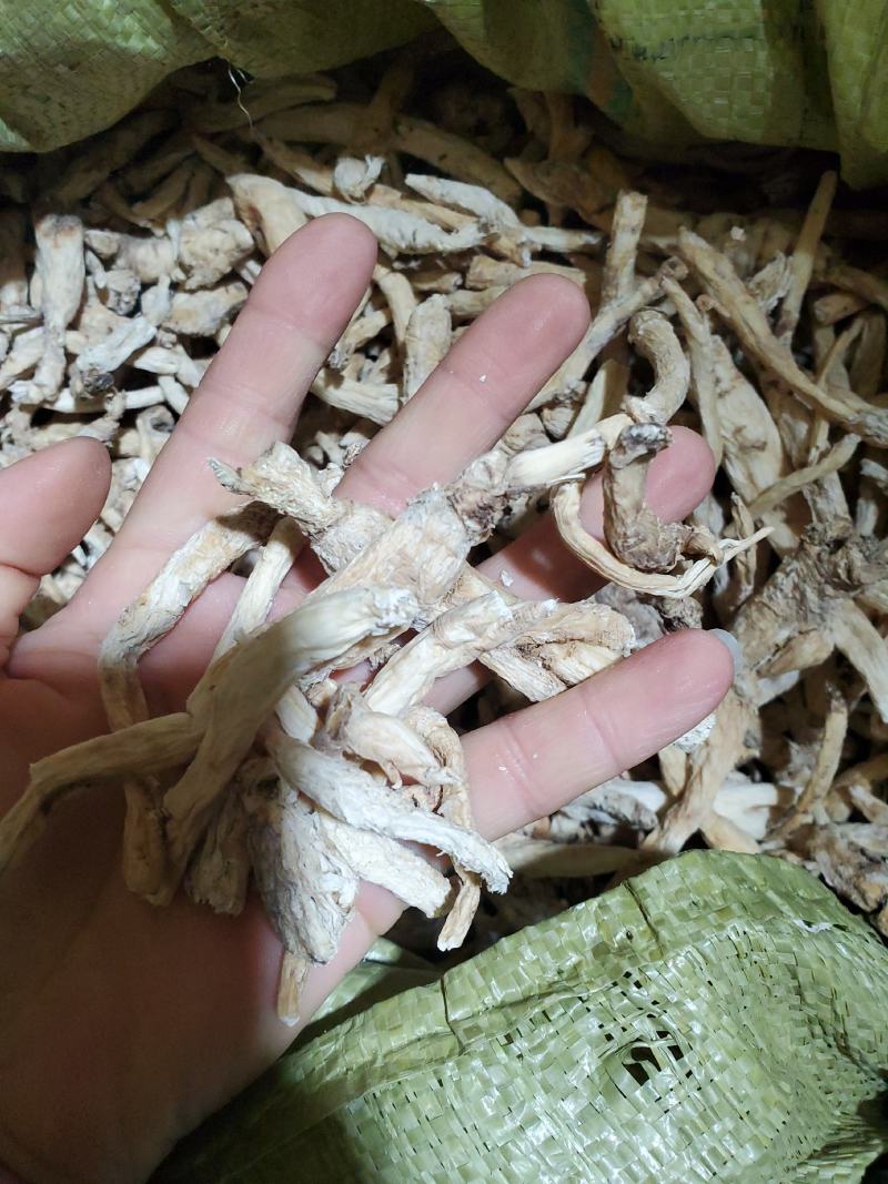 正品南沙参，水洗南沙参，泡参，川明参，各种规格