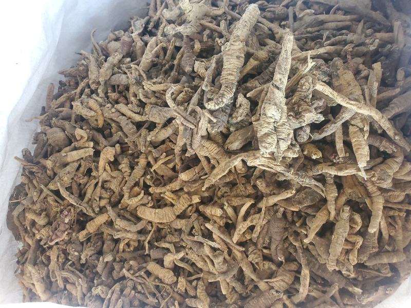 正品南沙参，水洗南沙参，泡参，川明参，各种规格