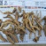 正品南沙参，水洗南沙参，泡参，川明参，各种规格