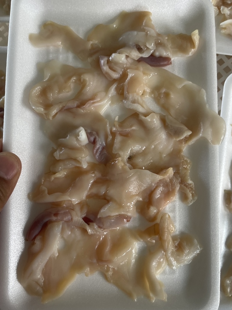 生开海螺片