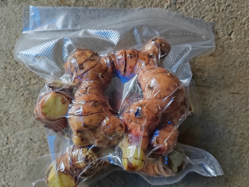 【热】南姜/山姜聚盛福农产品（红皮山姜）产地坐标欢迎来电