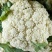 精品松花菜散花现货新鲜菜花现摘现发花椰菜当季花菜量大供应