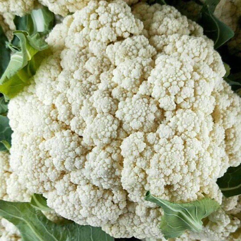 精品松花菜散花现货新鲜菜花现摘现发花椰菜当季花菜量大供应