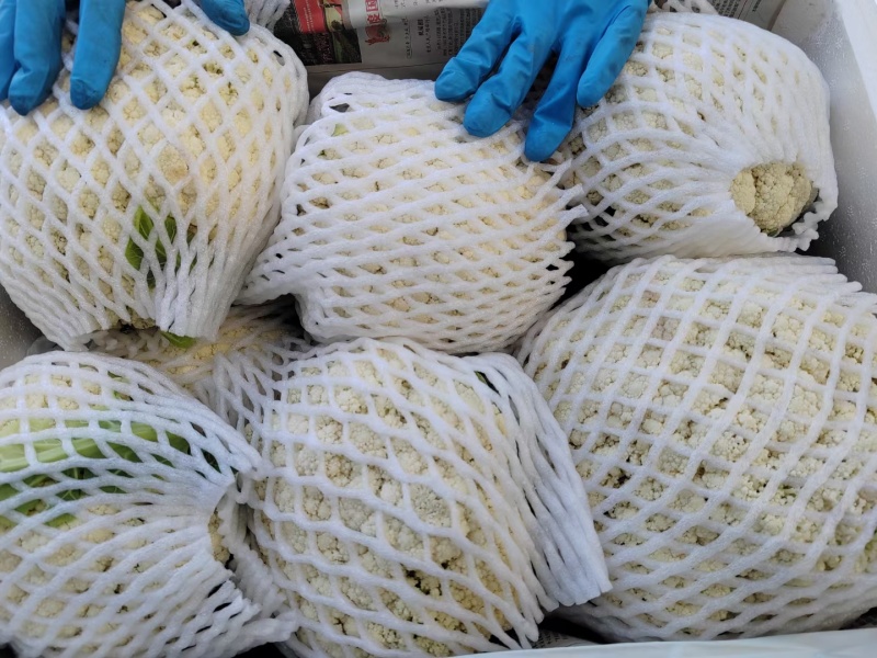 精品松花菜散花现货新鲜菜花现摘现发花椰菜当季花菜量大供应