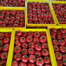 普罗旺斯水果西红柿～社团，电商，超市，一件等对接。