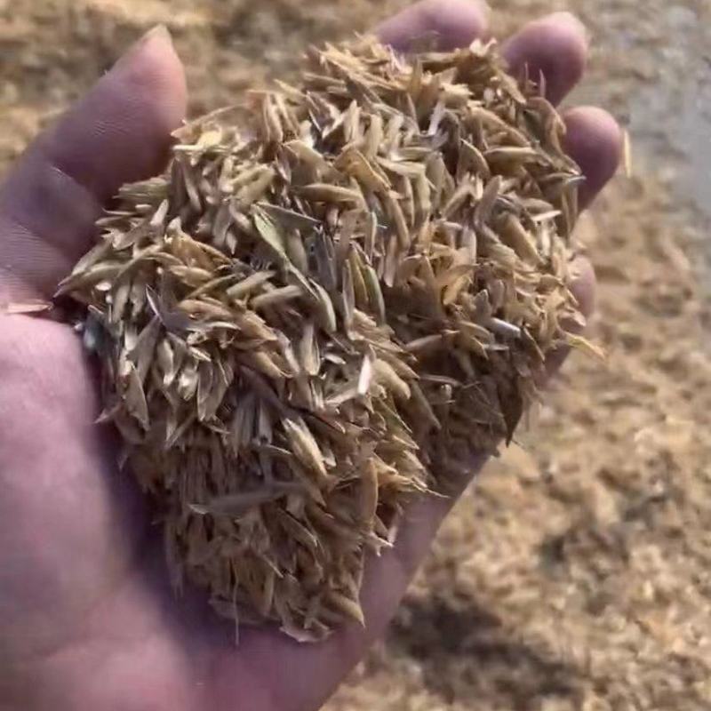 贵州压缩稻壳/打包稻壳