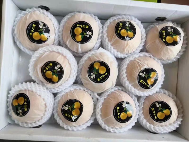 【推荐】精品秋月梨，专业代收代发，可出口加工、冷库一条龙