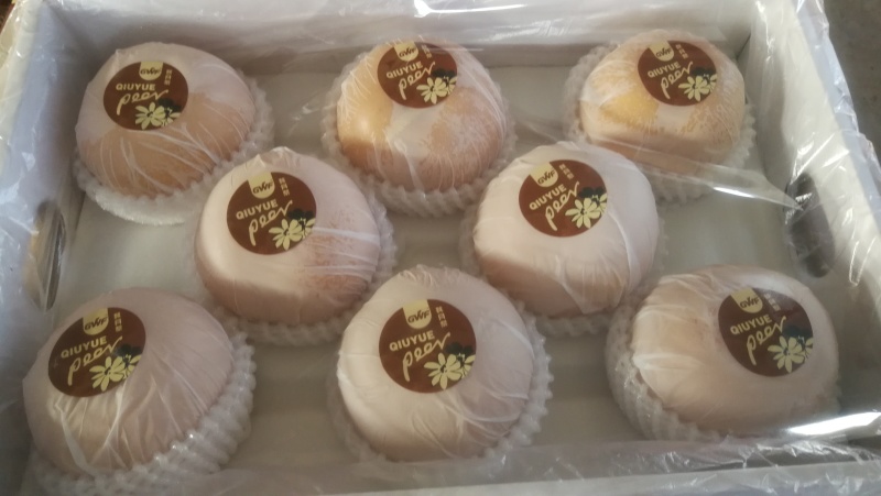 【推荐】精品秋月梨，专业代收代发，可出口加工、冷库一条龙
