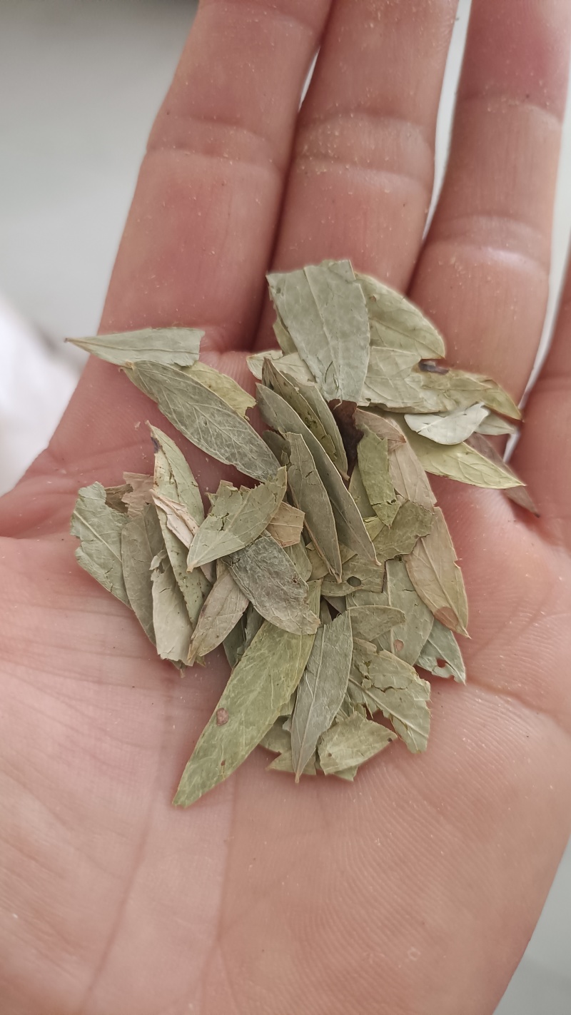 番泻叶，过筛无杂质，货源充足，量大从优，假一赔十