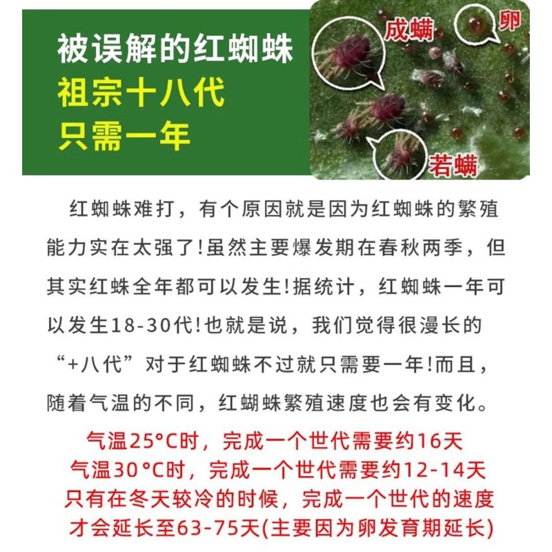 红蜘蛛助剂杀螨助剂阿维乙螨唑凯耀卫士专杀红蜘蛛螨虫一扫光