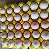 每天鲜鸡蛋，规格齐全，鸡场发货，供应各大商超欢迎订购。