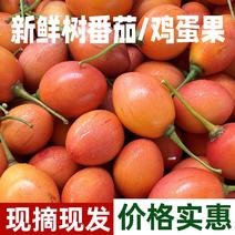 大树番茄洋酸茄云南特产鸡蛋果农产品时令傣味新鲜蔬菜蕃茄缅