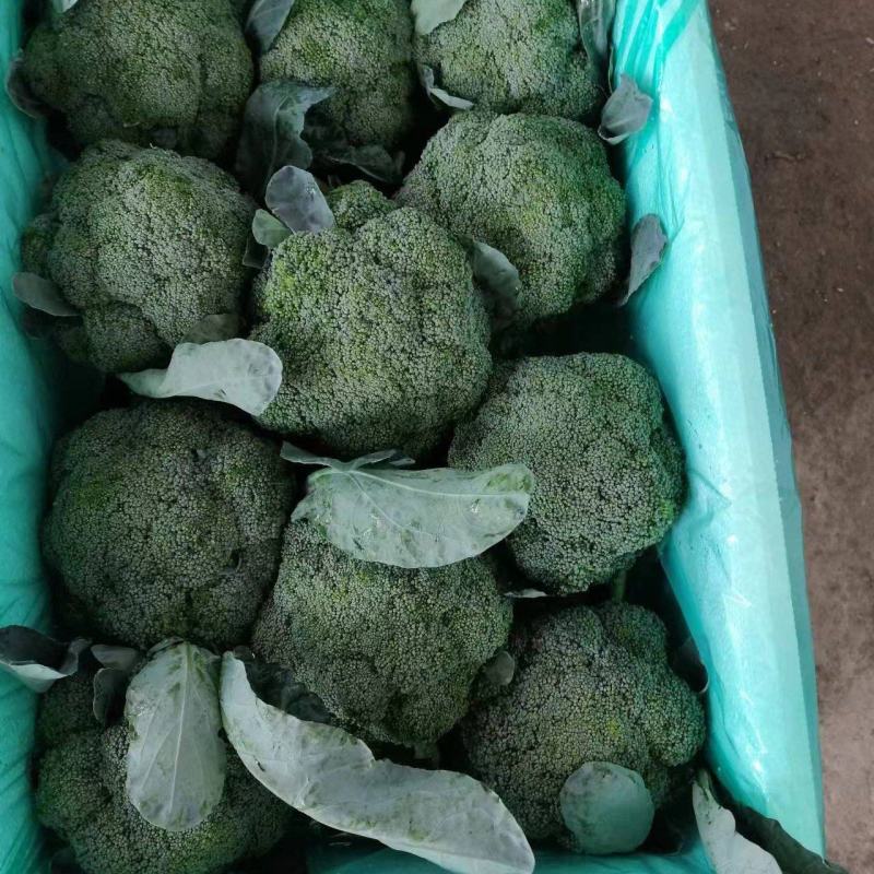 产地直发质量三包
