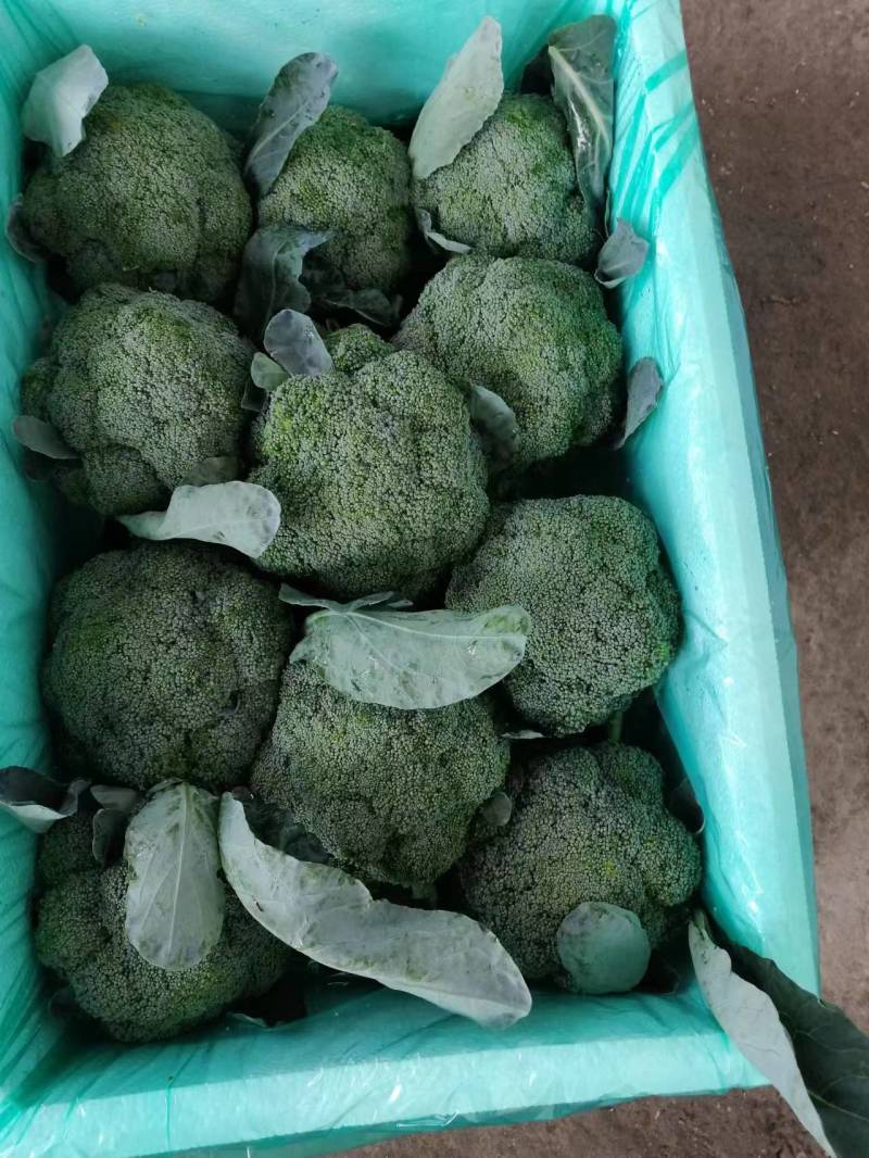 产地直发质量三包