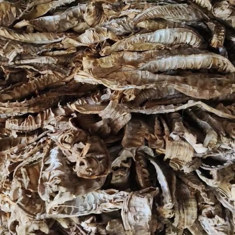 精品笋干烟笋干大量供应厂家直发货源充足量大从优