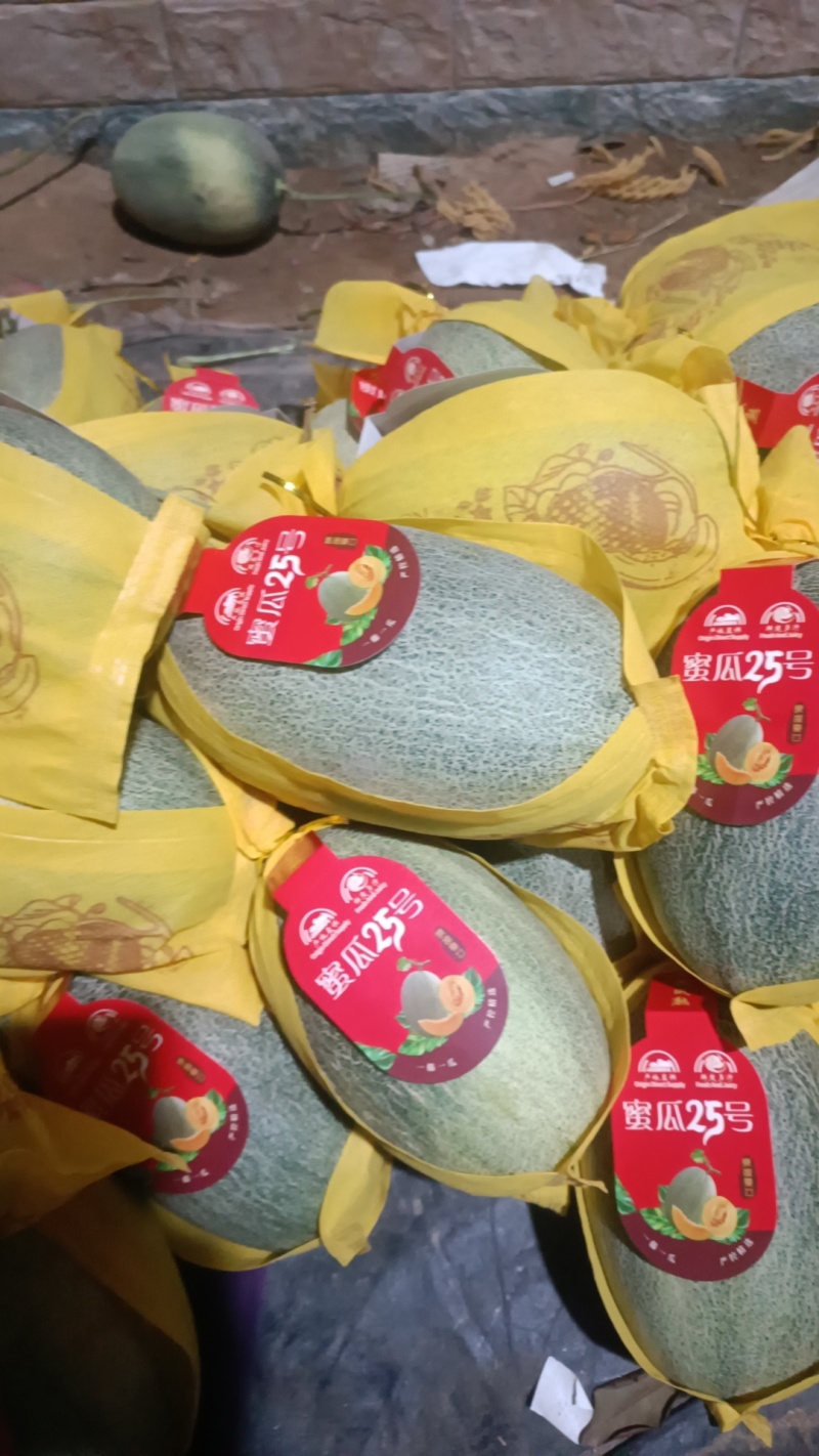 海南哈密瓜晓密25号散装货，货源充足，全国可发货。