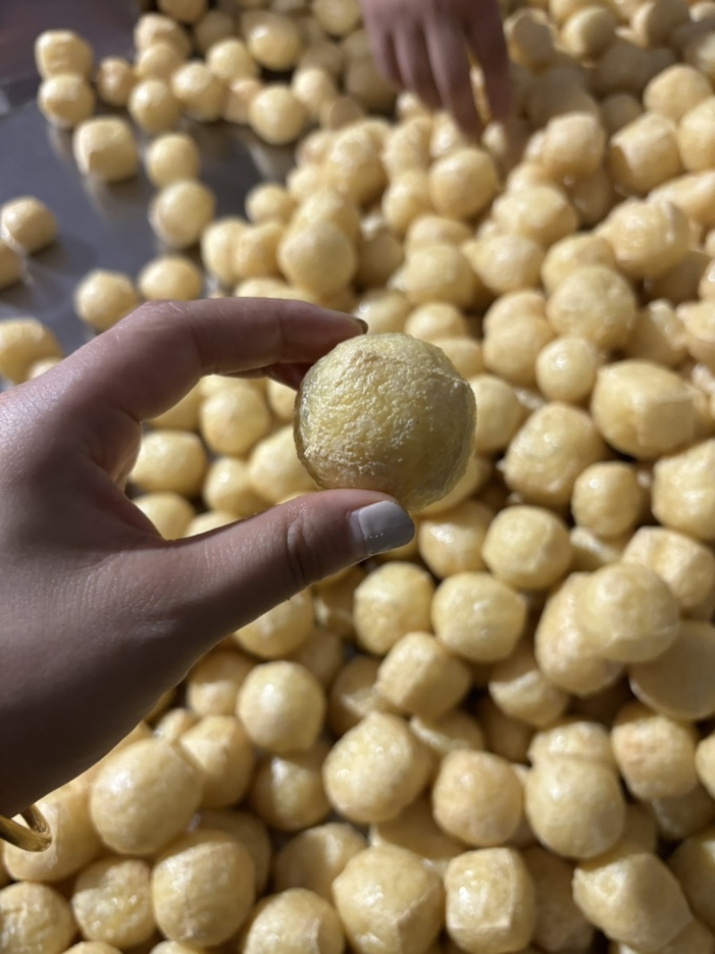 广东佛山油豆腐生产厂家