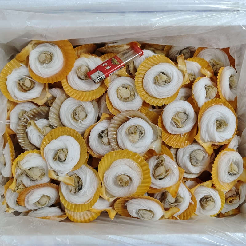 扇贝粉丝扇贝粉丝黄金贝200个/箱烧烤自助餐商用批发