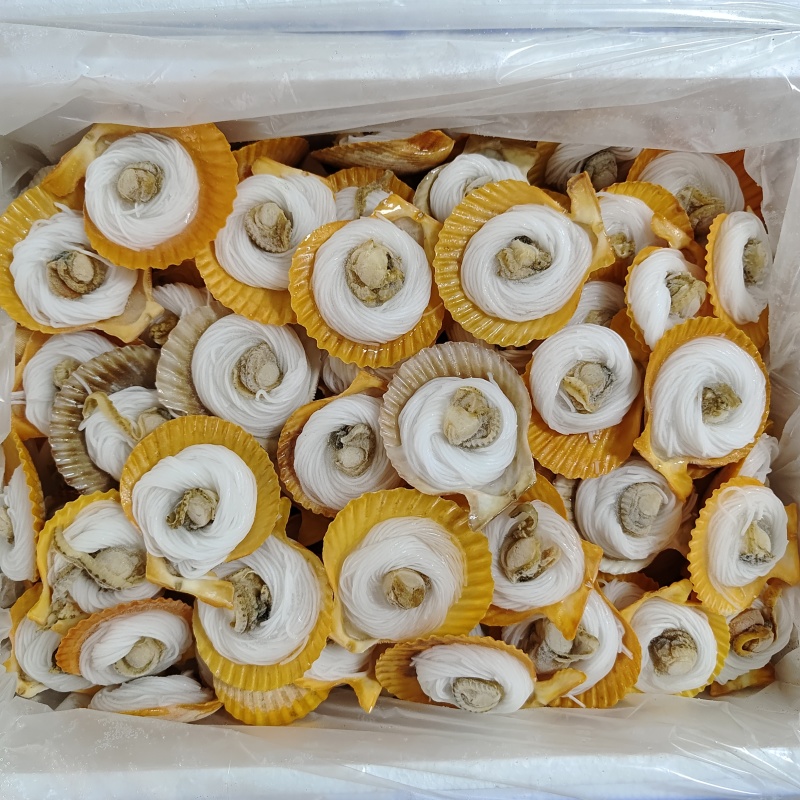 扇贝粉丝扇贝粉丝黄金贝200个/箱烧烤自助餐商用批发