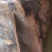 地枫皮追地风浙江1公斤起批无硫无添加不包邮