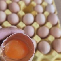 果园新鲜鸡蛋，品质有保证，货多多，有需要的可以我