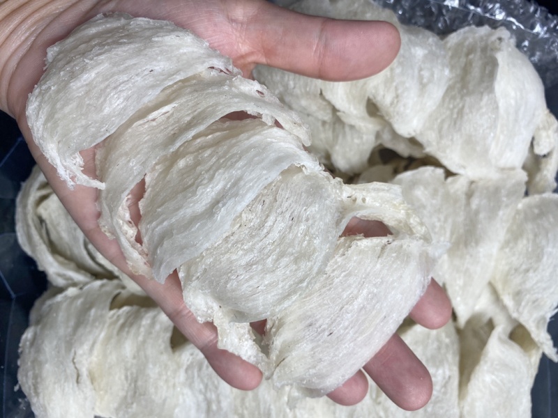 燕盏干挑三角燕盏泡发净度不错