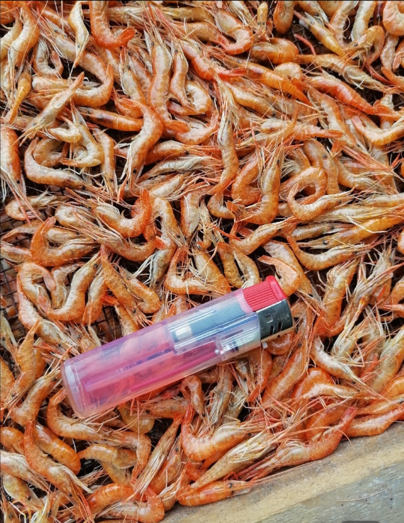 小干虾，精品小河虾，颜色好，干净没有灰