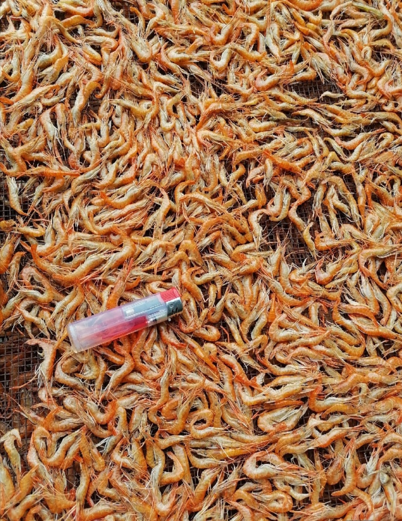 小干虾，精品小河虾，颜色好，干净没有灰