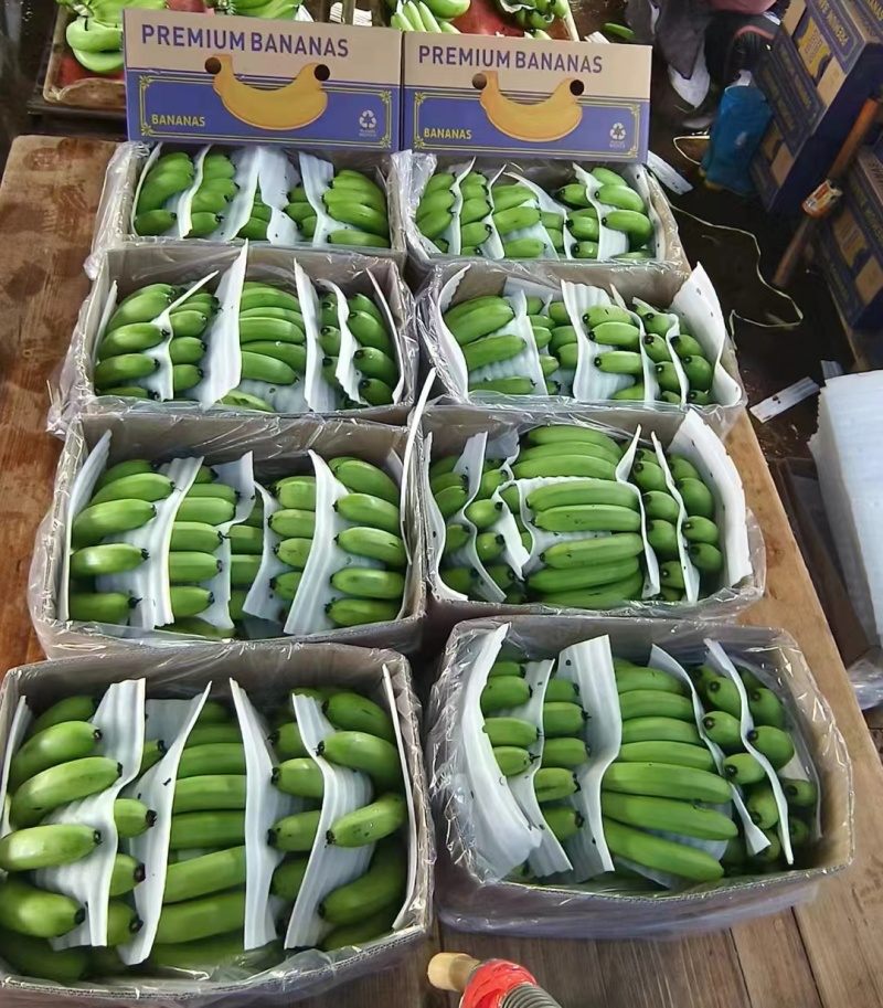 云南精品香蕉价格产地直发，整车发货，热带水果