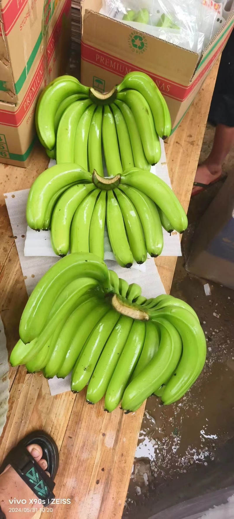 云南精品香蕉价格产地直发，整车发货，热带水果