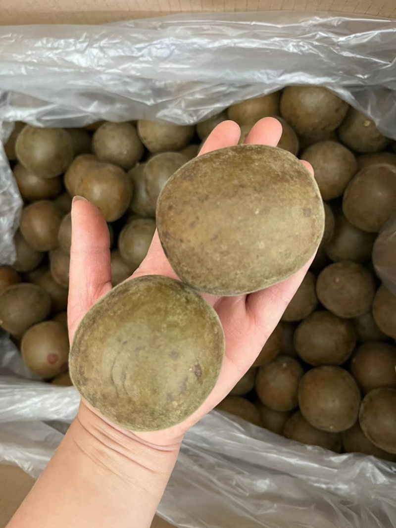 【顺欣药材】罗汉果个大饱满皮薄肉厚量大从优