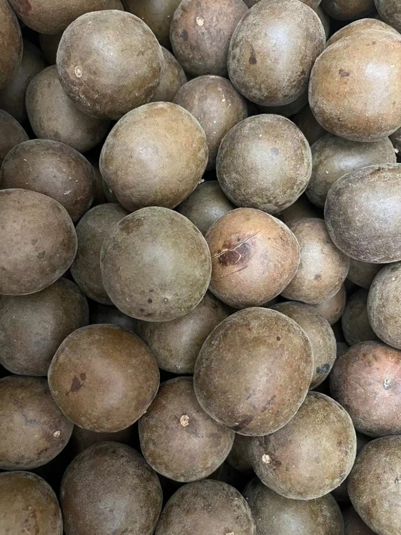 【顺欣药材】罗汉果个大饱满皮薄肉厚量大从优