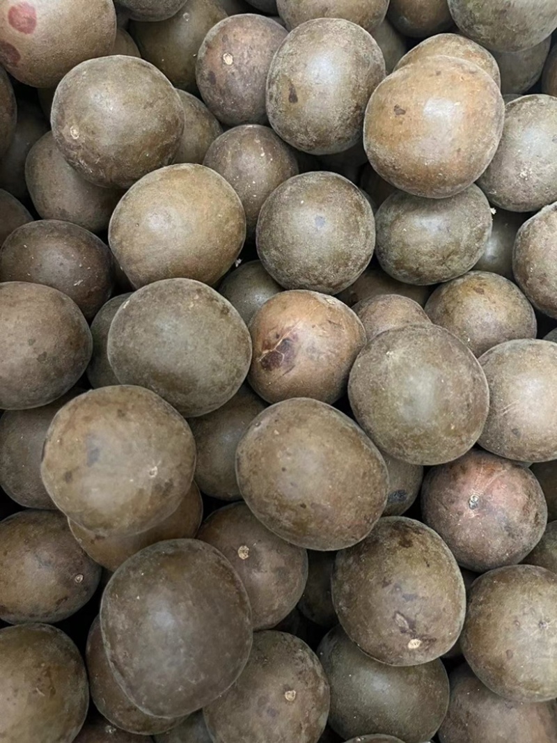 【顺欣药材】罗汉果个大饱满皮薄肉厚量大从优