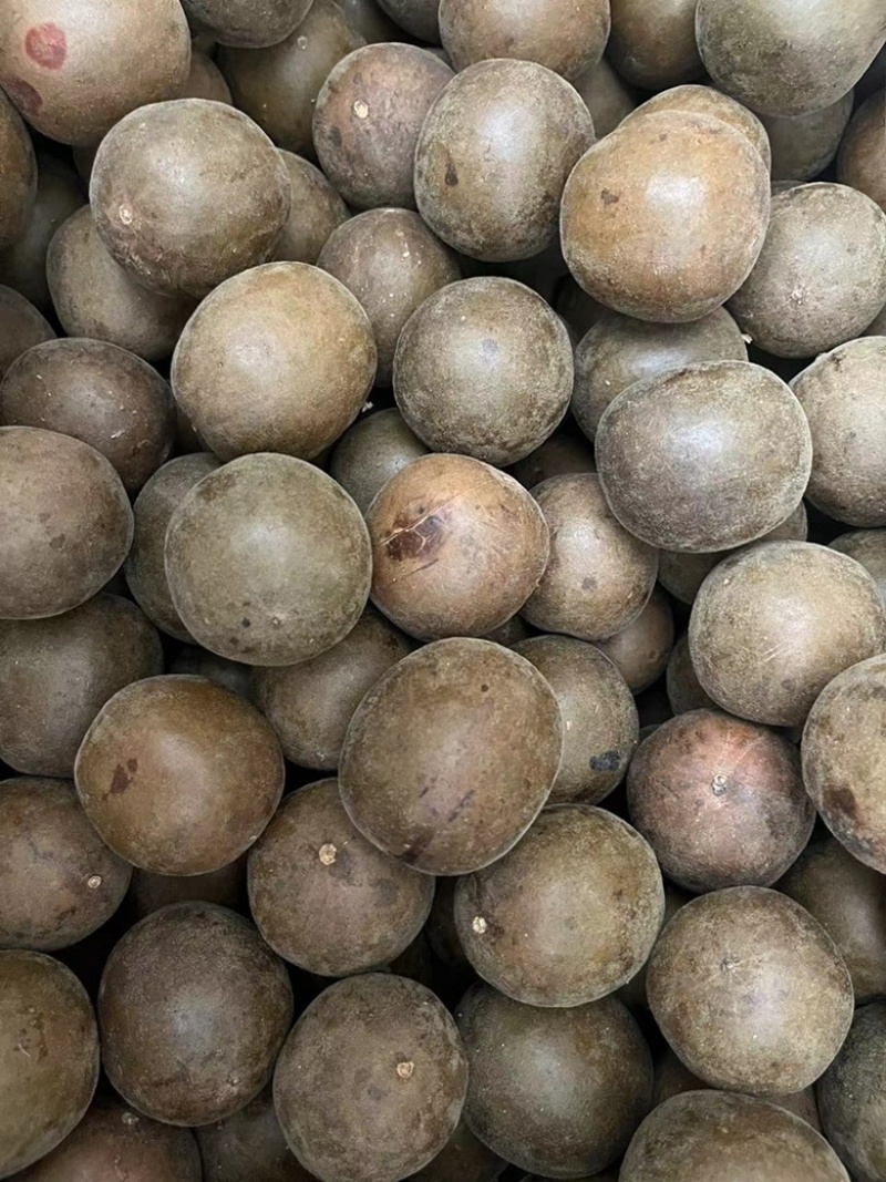 【顺欣药材】罗汉果个大饱满皮薄肉厚量大从优