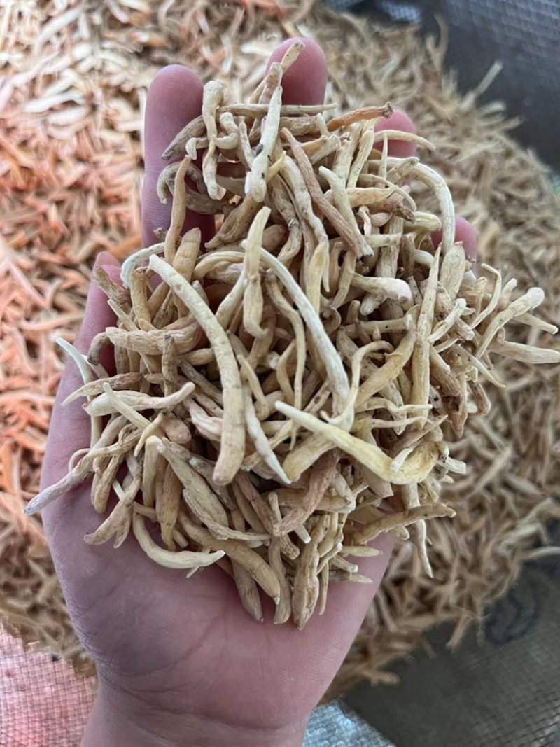 【顺欣药材】太子参孩子参无硫好货价格优惠