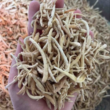 【顺欣药材】太子参孩子参无硫好货价格优惠
