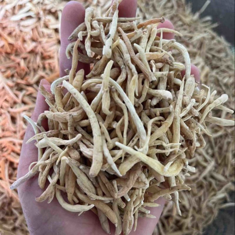 【顺欣药材】太子参孩子参无硫好货价格优惠