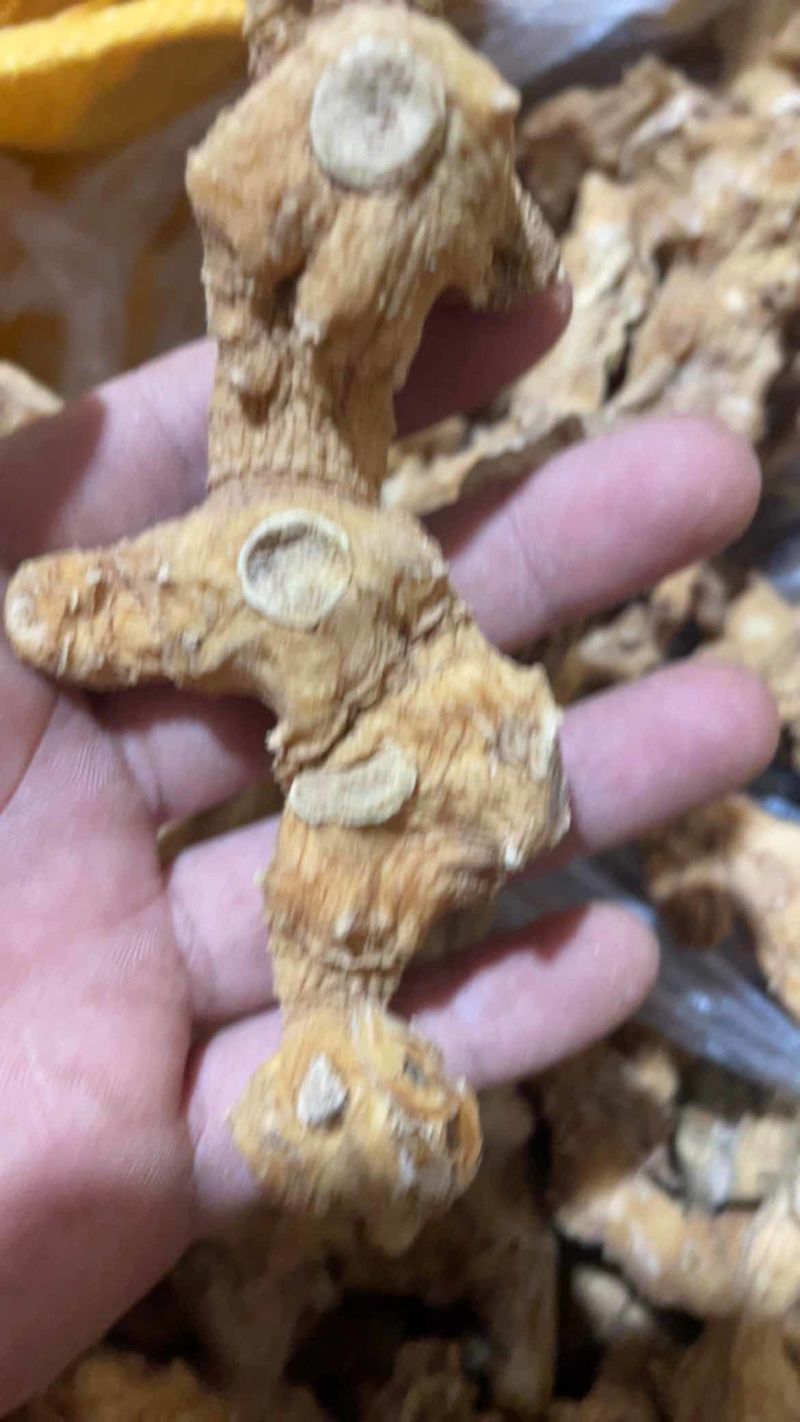 干货野生黄精姜形甜黄精川姜形甜黄精干货