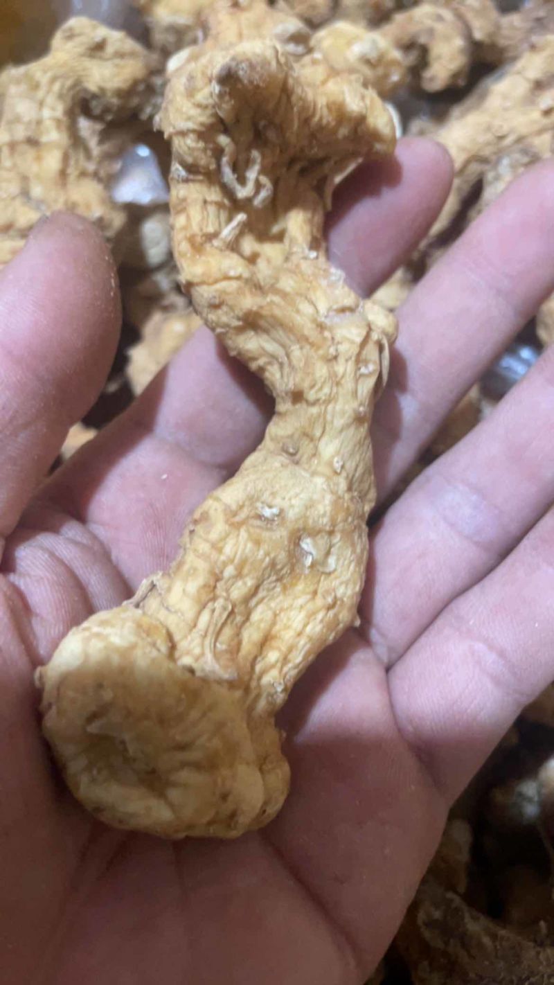 干货野生黄精姜形甜黄精川姜形甜黄精干货