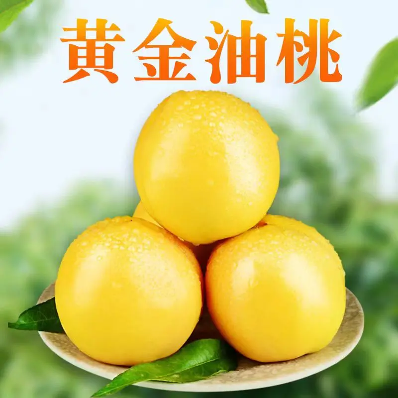 山东蒙阴黄油桃一件代发包邮包售后品质保证对接电商源头供应