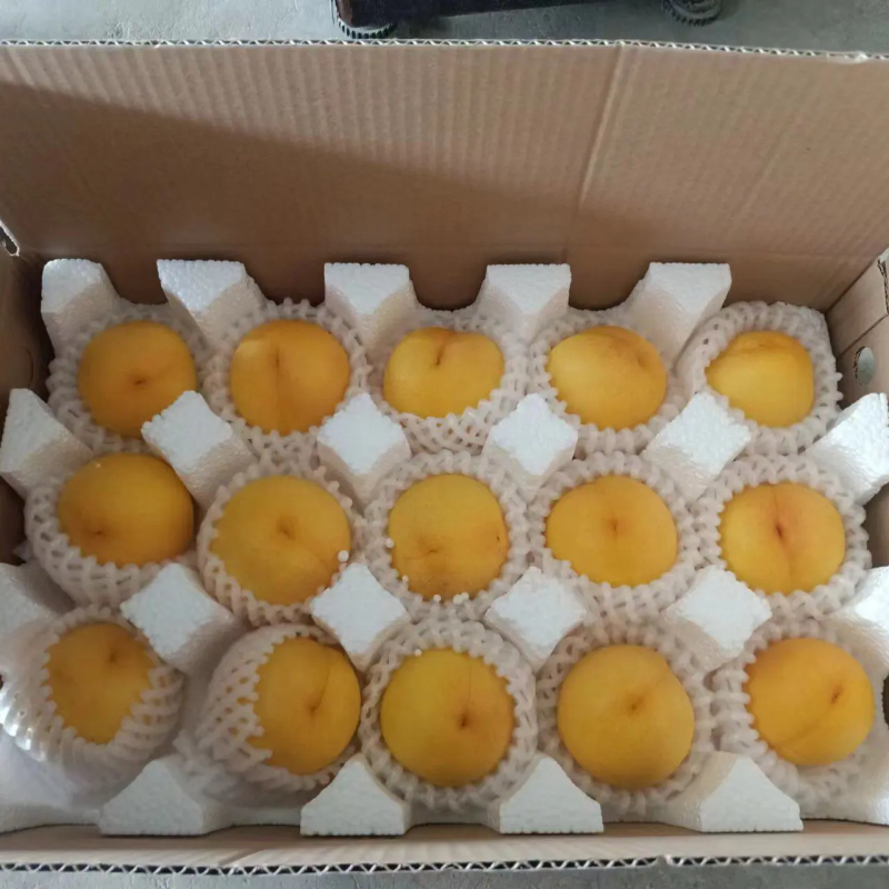 山东蒙阴黄油桃一件代发包邮包售后品质保证对接电商源头供应