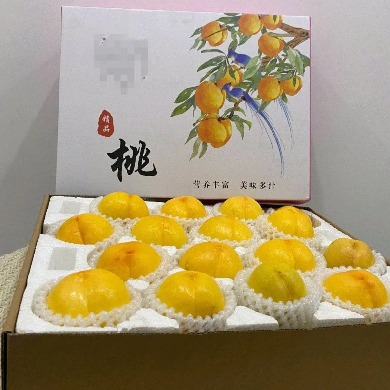山东蒙阴黄油桃一件代发包邮包售后品质保证对接电商源头供应