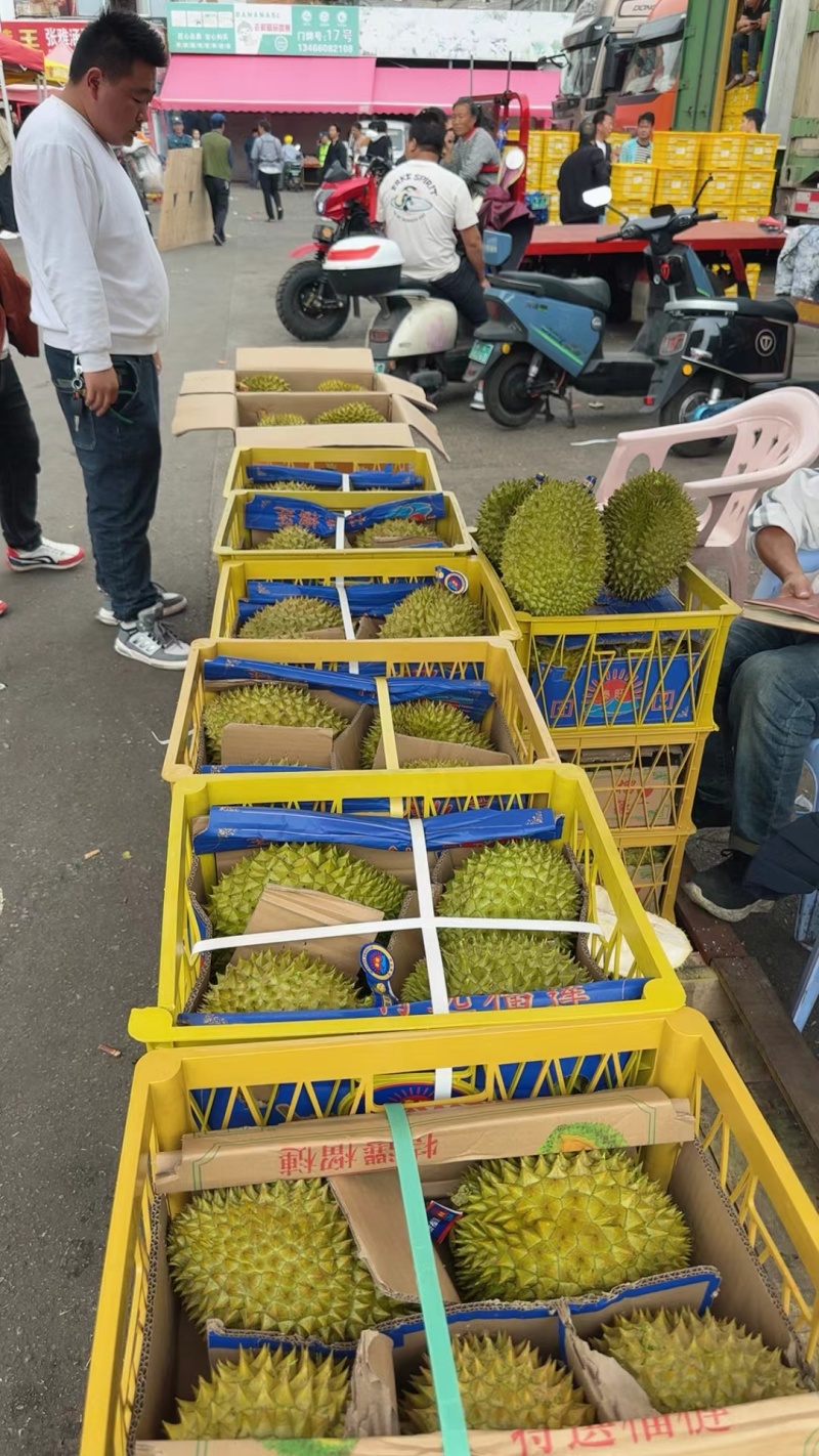 越南干荛大量有货，支持一件代发批发团购，每天发货30吨