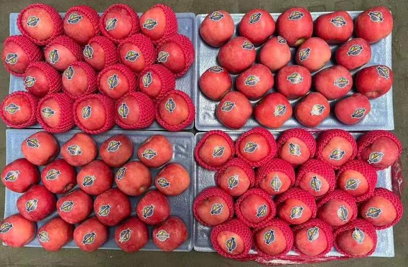 红富士苹果基地供应一手货源全国直销大量有货量大从优