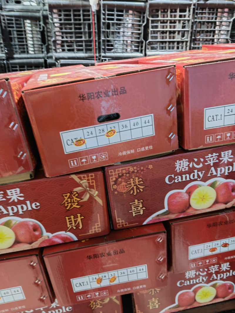 红富士苹果基地供应一手货源全国直销大量有货量大从优