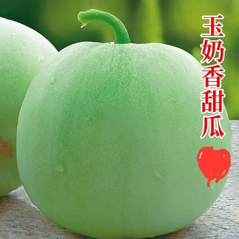 香妃甜瓜，可供商超，市场，餐饮，酒店，餐厅