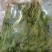 【源头厂家】香椿咸菜，